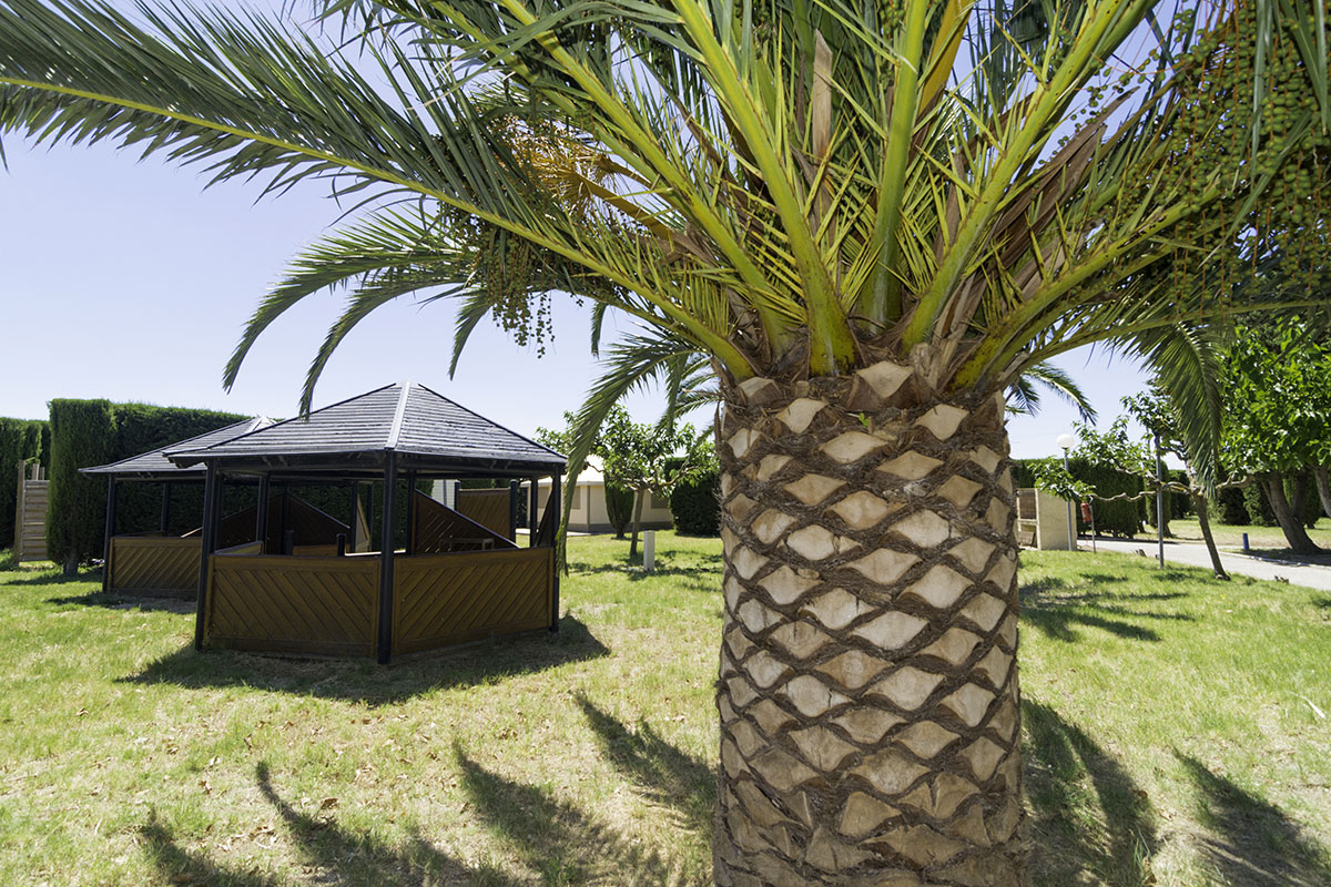 Le Cers Languedoc-Rosellón - Saint-Laurent-de-la-Salanque visuel 5/6