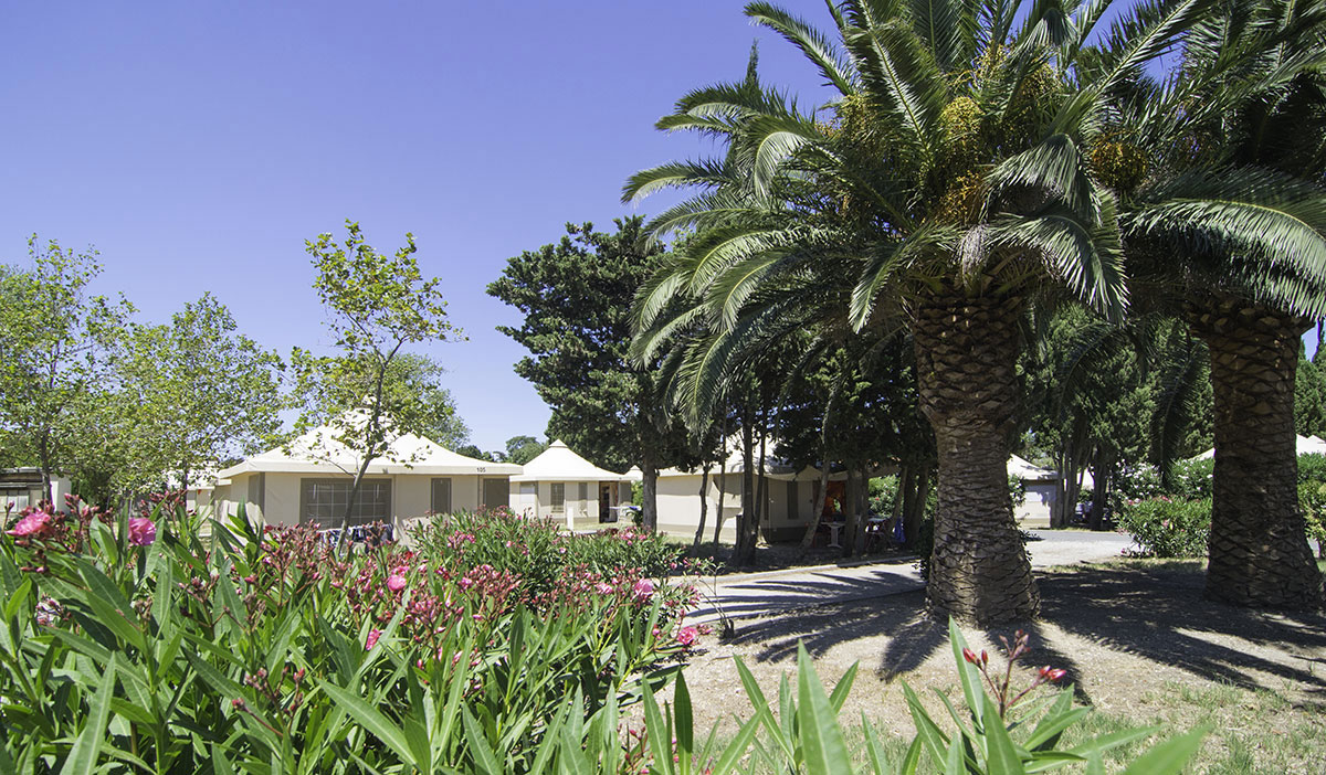Le Cers Languedoc-Rosellón - Saint-Laurent-de-la-Salanque visuel 1/6