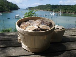 Le Chateau De Belon Bretaña - Riec-sur-Bélon visuel 1/1 Le Chateau De Belon Bretaña - Riec-sur-Bélon visuel 1/1