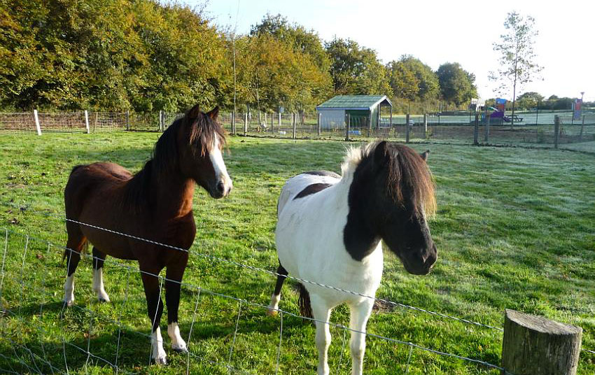 Le Clos du Moulin Países del Loira - La Bernerie-en-Retz visuel 11/14