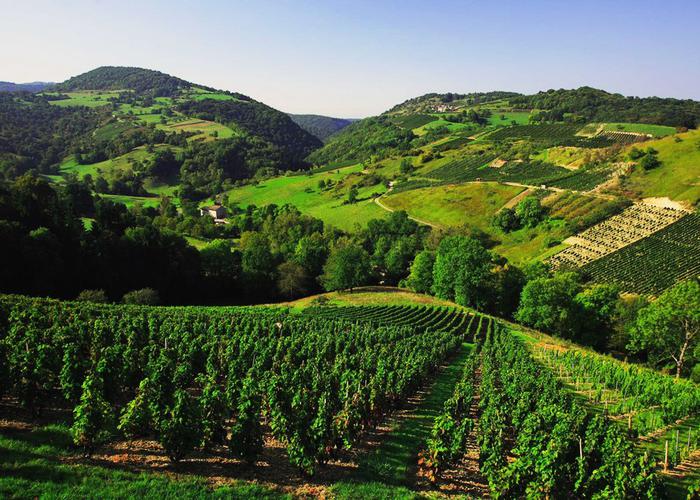 Le Colombier Ródano-Alpes - Culoz visuel 6/12 Le Colombier Ródano-Alpes - Culoz visuel 6/12