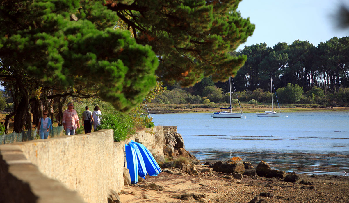 Le Conleau Bretaña - Vannes visuel 14/16 Le Conleau Bretaña - Vannes visuel 14/16