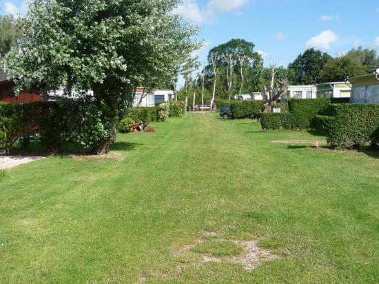 Le Courtil Rose Norte-Paso de Calais - Brêmes visuel 1/1 Le Courtil Rose Norte-Paso de Calais - Brêmes visuel 1/1