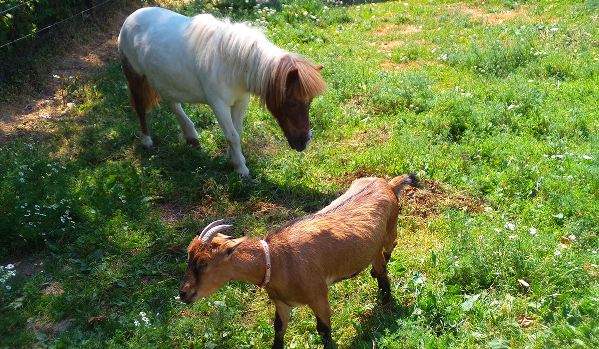 Le Creulet Baja Normandía - Crouay visuel 2/3 Le Creulet Baja Normandía - Crouay visuel 2/3