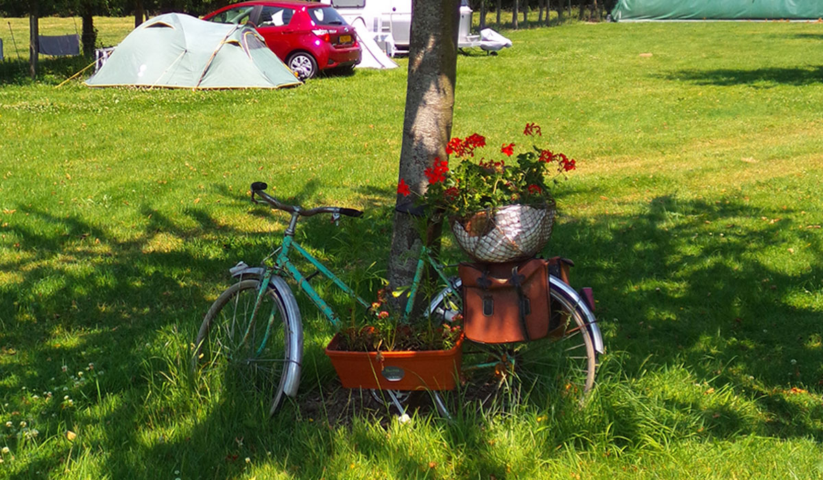 Le Creulet Baja Normandía - Crouay visuel 1/3 Le Creulet Baja Normandía - Crouay visuel 1/3