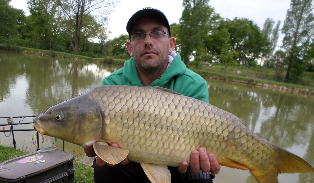 Le Domaine de Bellevue Países del Loira - Saint-Christophe-du-Ligneron visuel 7/15 Le Domaine de Bellevue Países del Loira - Saint-Christophe-du-Ligneron visuel 7/15