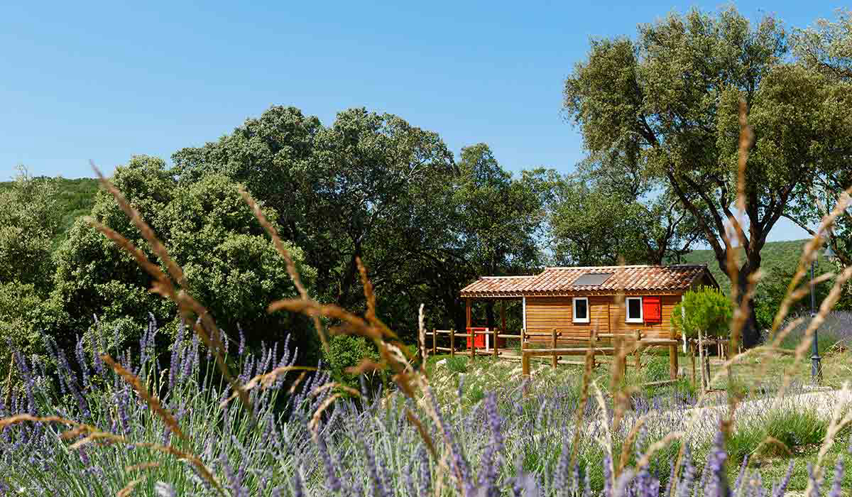 Domaine de Sévenier et Spa Ródano-Alpes - Lagorce visuel 13/16 Domaine de Sévenier et Spa Ródano-Alpes - Lagorce visuel 13/16