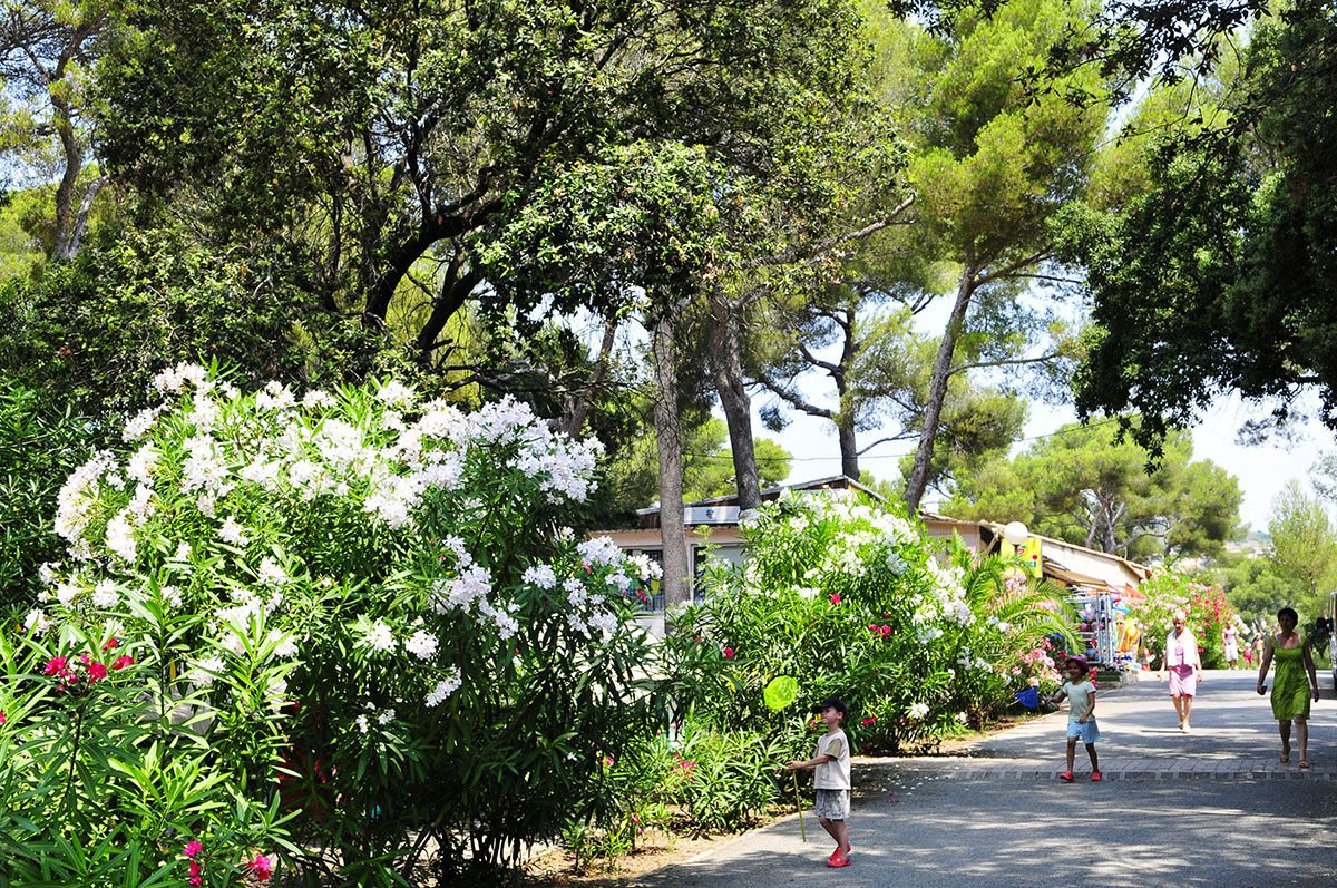 La Plage du Dramont Provenza-Alpes-Costa Azul - Agay visuel 12/12