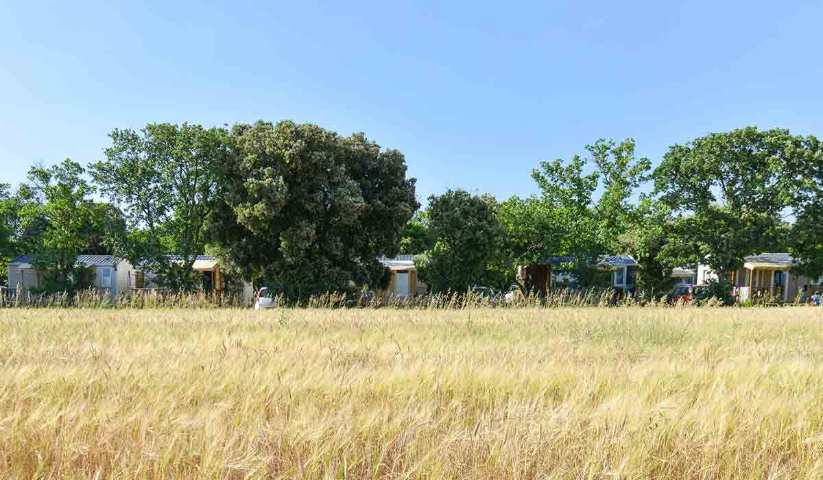 Le Garrigon Provenza-Alpes-Costa Azul - Grillon visuel 10/14 Le Garrigon Provenza-Alpes-Costa Azul - Grillon visuel 10/14