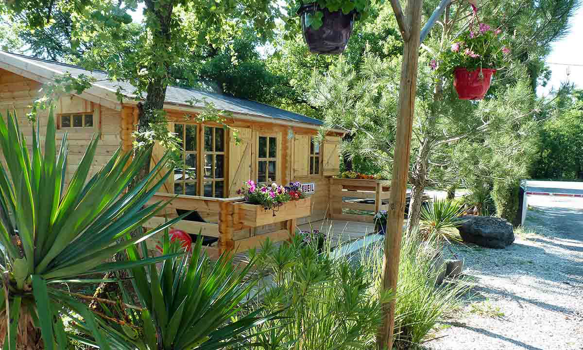 Le Jas du Moine Provenza-Alpes-Costa Azul - Salignac visuel 8/12