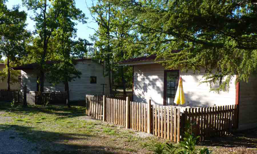 Le Jas du Moine Provenza-Alpes-Costa Azul - Salignac visuel 11/12