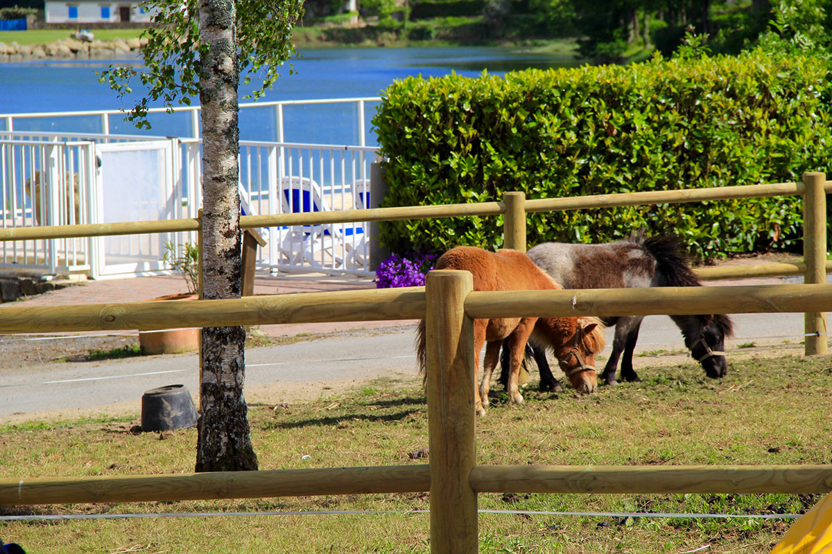 Le Lac Bretaña - Carnac visuel 14/17 Le Lac Bretaña - Carnac visuel 14/17