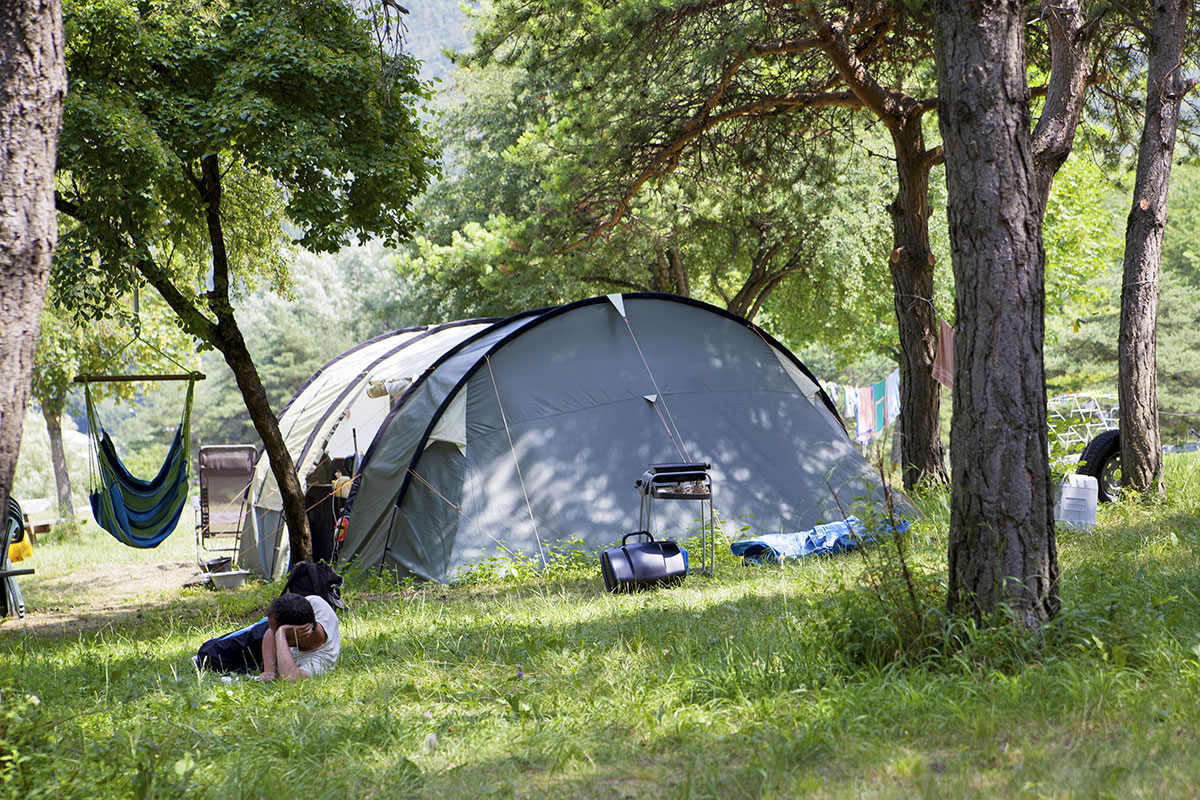 Le Lac Provenza-Alpes-Costa Azul - Saint-Vincent-les-Forts visuel 10/16 Le Lac Provenza-Alpes-Costa Azul - Saint-Vincent-les-Forts visuel 10/16