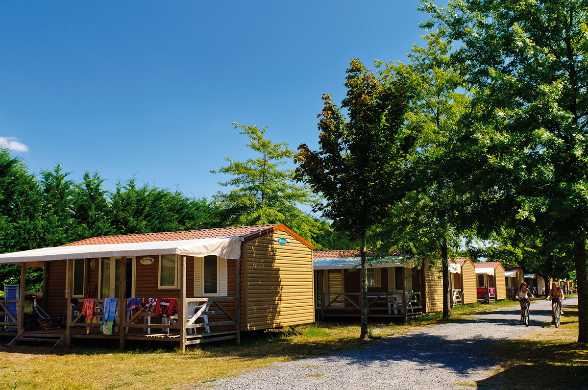 Le Lac de Sanguinet Aquitania - Sanguinet visuel 9/11