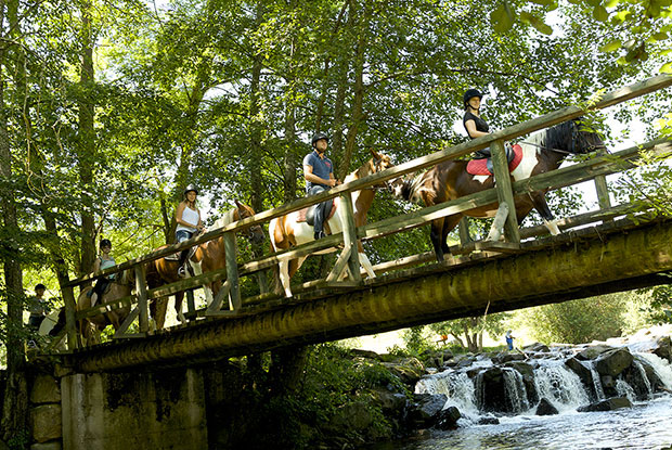 Le Lac des Sapins Ródano-Alpes - Cublize visuel 6/14 Le Lac des Sapins Ródano-Alpes - Cublize visuel 6/14