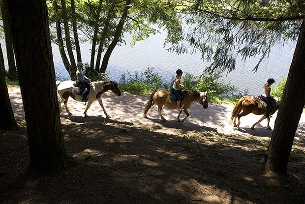 Le Lac des Sapins Ródano-Alpes - Cublize visuel 5/14 Le Lac des Sapins Ródano-Alpes - Cublize visuel 5/14