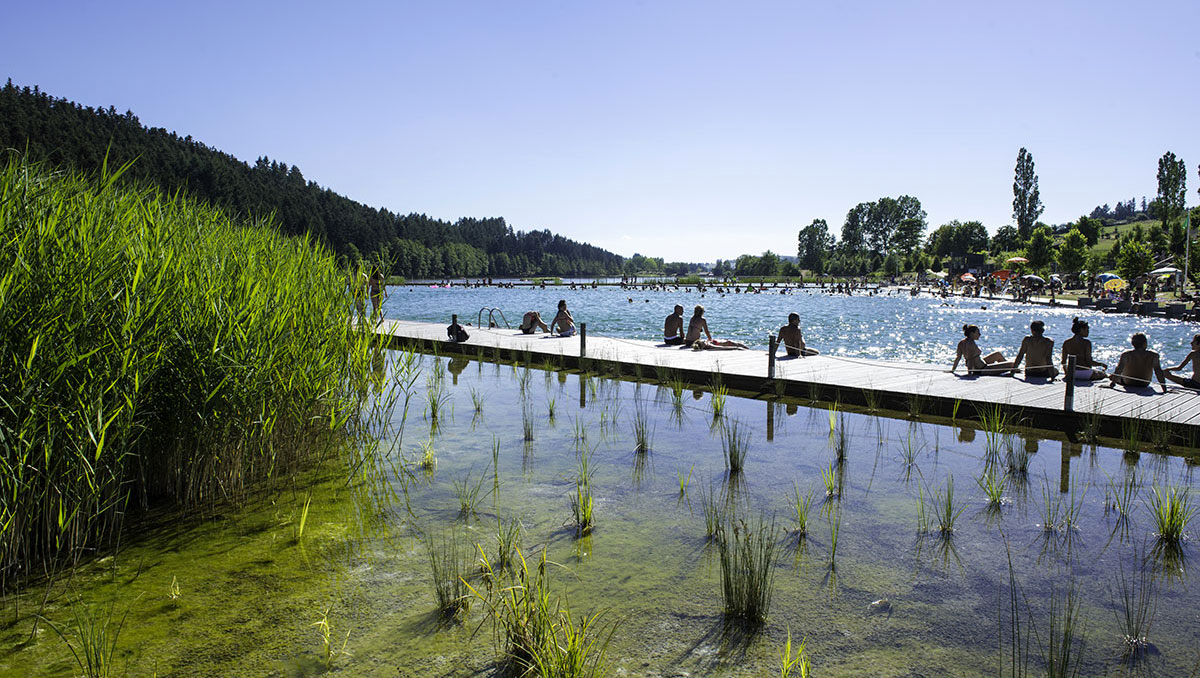 Le Lac des Sapins Ródano-Alpes - Cublize visuel 2/14 Le Lac des Sapins Ródano-Alpes - Cublize visuel 2/14