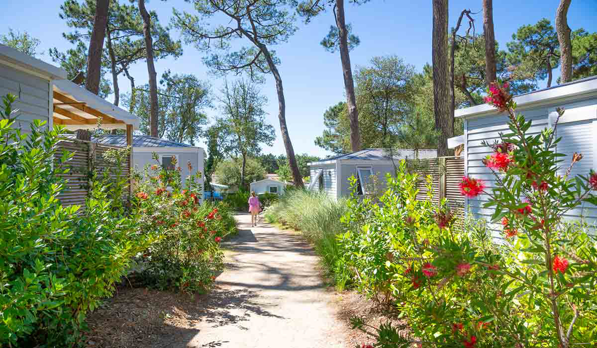 Le Littoral Países del Loira - Talmont-Saint-Hilaire visuel 10/21 Le Littoral Países del Loira - Talmont-Saint-Hilaire visuel 10/21