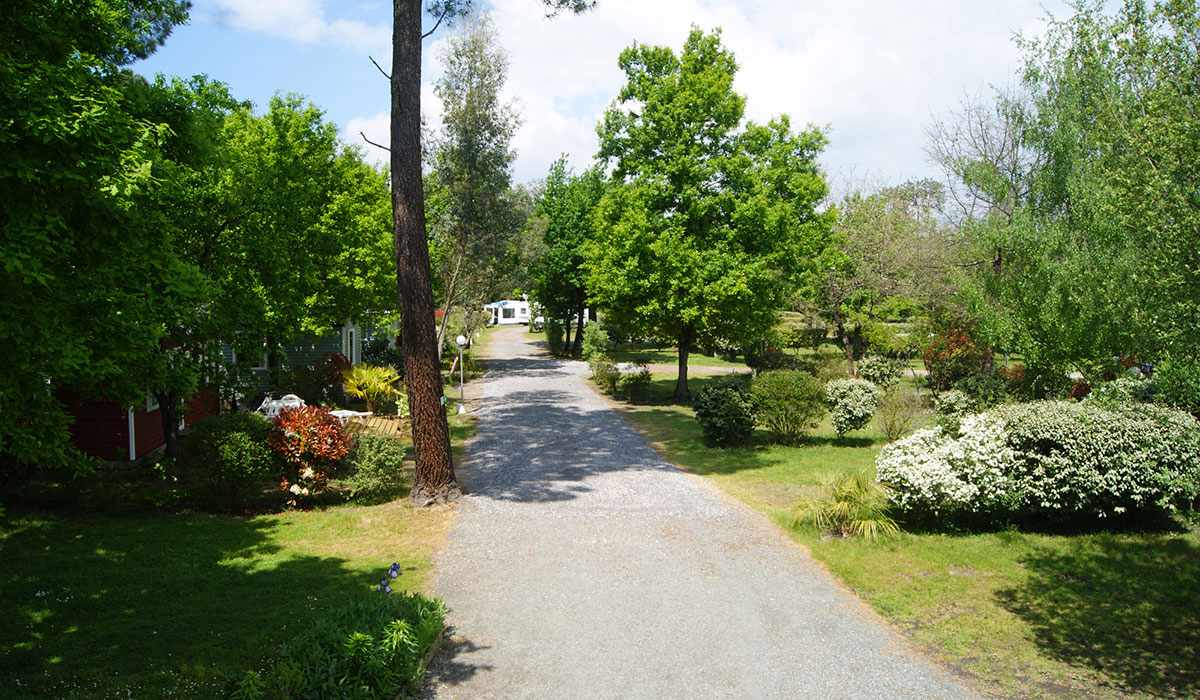 Le Marache Aquitania - Biganos visuel 2/4 Le Marache Aquitania - Biganos visuel 2/4