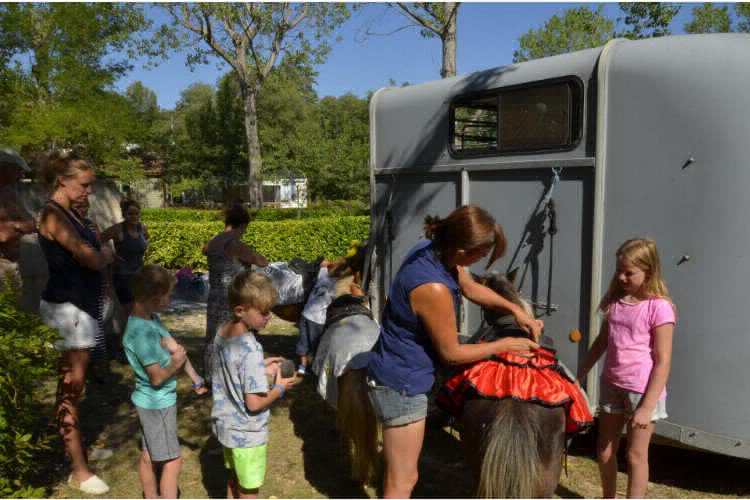 Le Mas de Reilhe Languedoc-Rosellón - Crespian visuel 9/16 Le Mas de Reilhe Languedoc-Rosellón - Crespian visuel 9/16