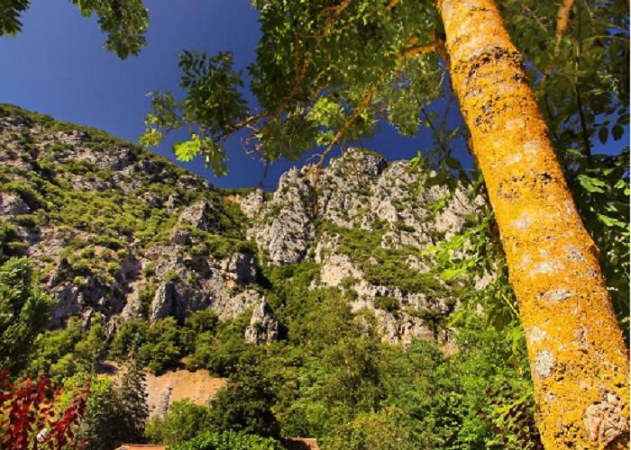 Le Moulin du Pont d'Aliès Languedoc-Rosellón - Saint-Martin-Lys visuel 3/8