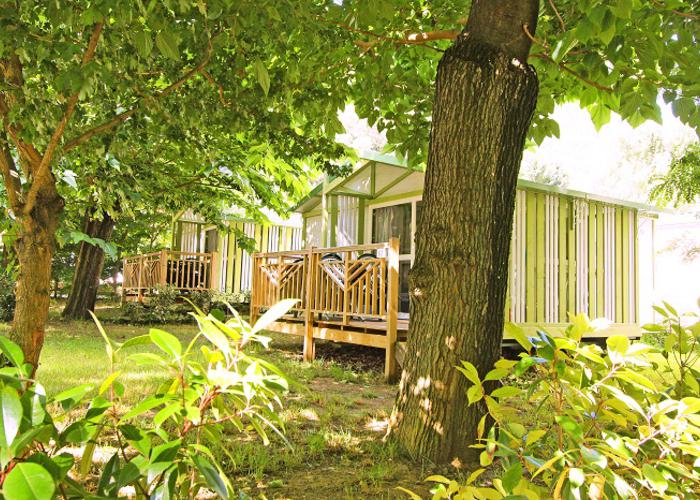 Le Moulin du Pont d'Aliès Languedoc-Rosellón - Saint-Martin-Lys visuel 8/8