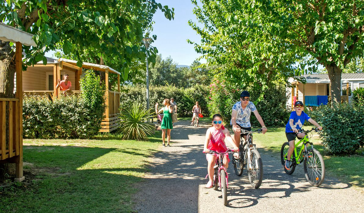 Le Neptune Languedoc-Rosellón - Argelès-sur-Mer visuel 9/16