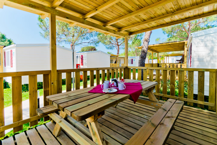 Le Palme Véneto - Lazise visuel 3/3