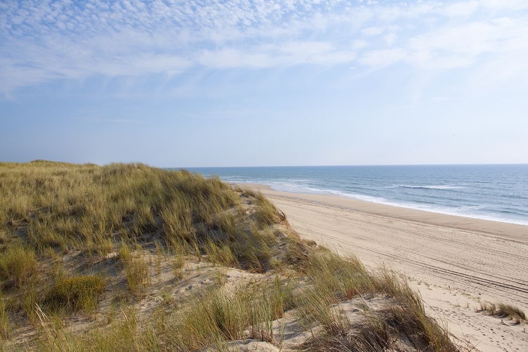 Le Paradis Aquitania - Carcans visuel 7/13