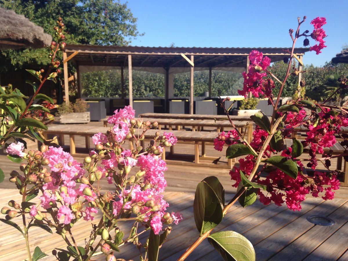 Le Paradis Aquitania - Carcans visuel 4/13