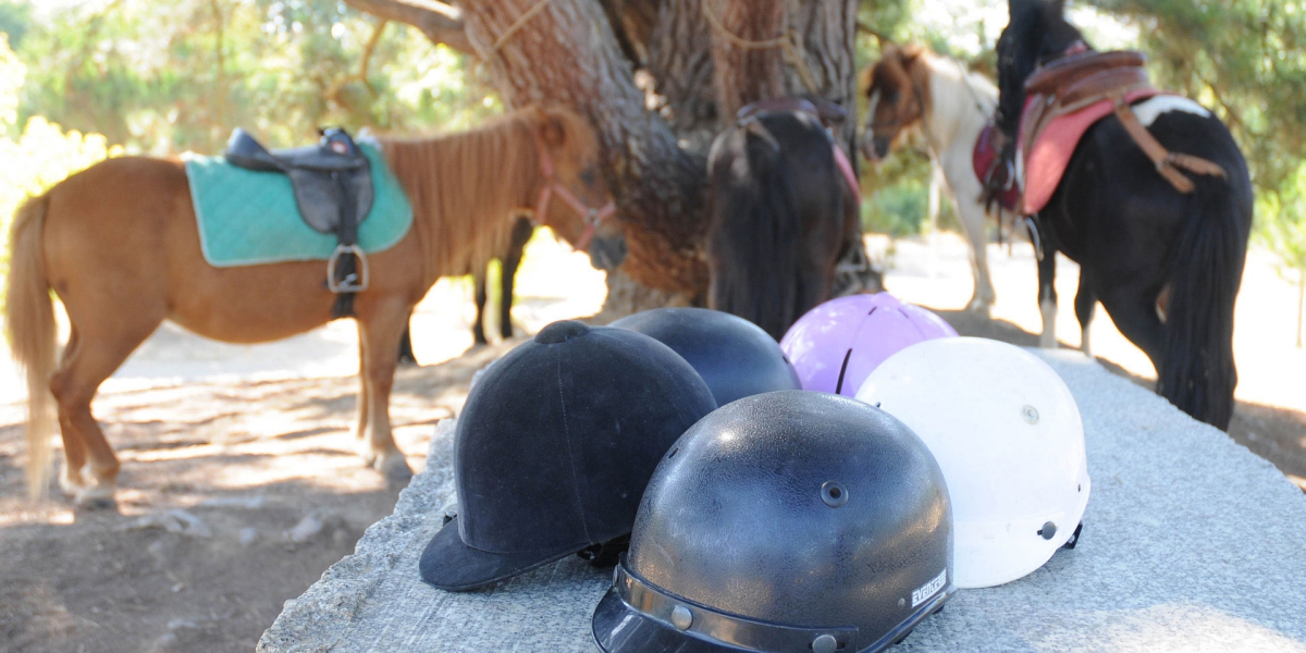 Le Paradis Países del Loira - Talmont-Saint-Hilaire visuel 18/19 Le Paradis Países del Loira - Talmont-Saint-Hilaire visuel 18/19