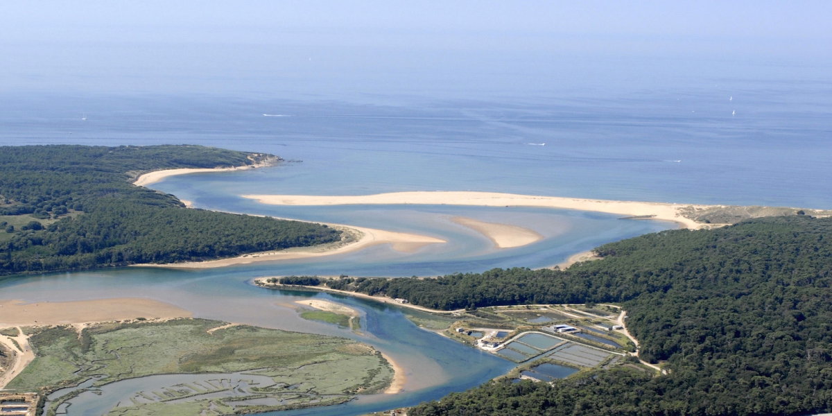 Le Paradis Países del Loira - Talmont-Saint-Hilaire visuel 3/19 Le Paradis Países del Loira - Talmont-Saint-Hilaire visuel 3/19