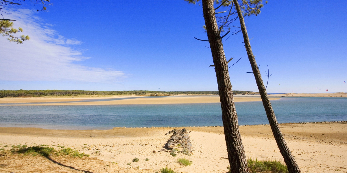 Le Paradis Países del Loira - Talmont-Saint-Hilaire visuel 19/19 Le Paradis Países del Loira - Talmont-Saint-Hilaire visuel 19/19