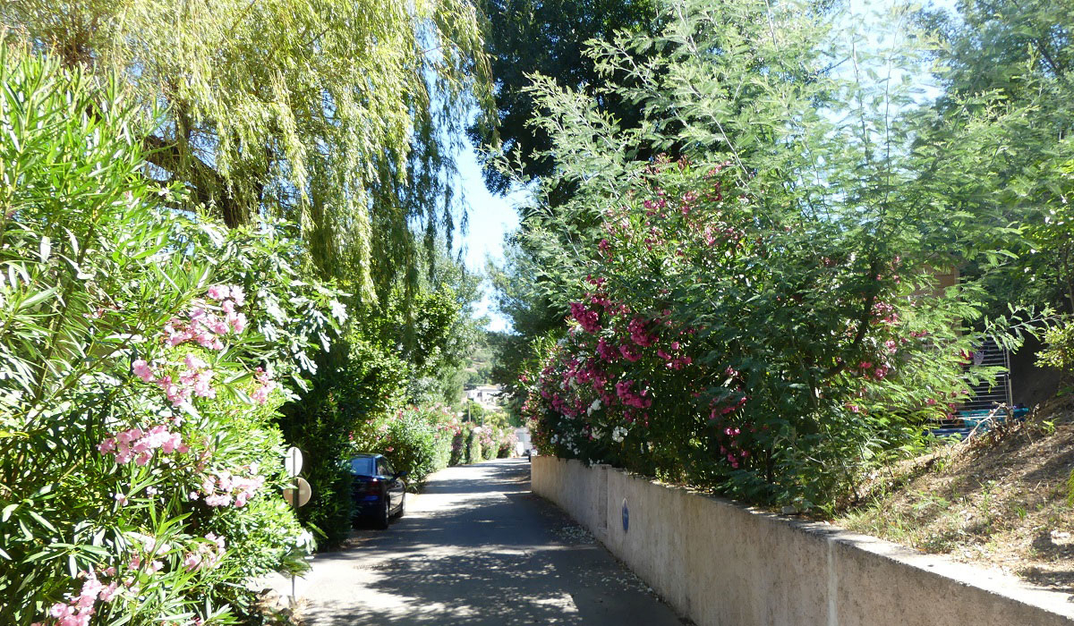 Le Parc des Monges Provenza-Alpes-Costa Azul - Auribeau-sur-Siagne visuel 12/27 Le Parc des Monges Provenza-Alpes-Costa Azul - Auribeau-sur-Siagne visuel 12/27
