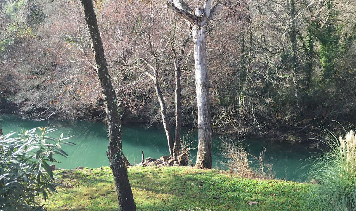 Le Parc des Monges Provenza-Alpes-Costa Azul - Auribeau-sur-Siagne visuel 17/27 Le Parc des Monges Provenza-Alpes-Costa Azul - Auribeau-sur-Siagne visuel 17/27