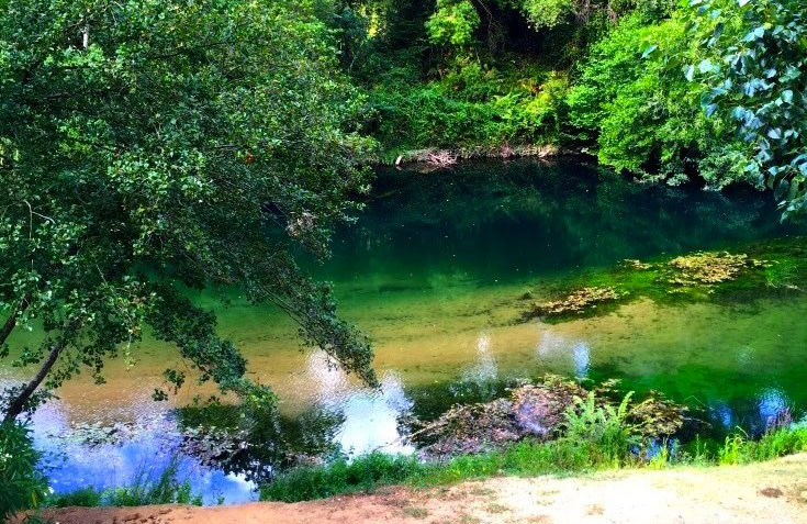 Le Parc des Monges Provenza-Alpes-Costa Azul - Auribeau-sur-Siagne visuel 24/27 Le Parc des Monges Provenza-Alpes-Costa Azul - Auribeau-sur-Siagne visuel 24/27