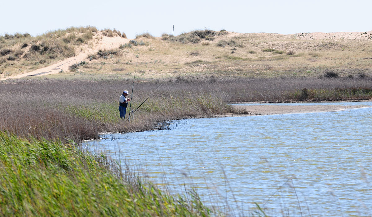 Le Pavillon Bleu Países del Loira - La Faute-sur-Mer visuel 19/19 Le Pavillon Bleu Países del Loira - La Faute-sur-Mer visuel 19/19