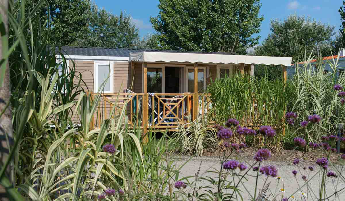 Le Petit Paris Países del Loira - Château-d'Olonne visuel 7/25 Le Petit Paris Países del Loira - Château-d'Olonne visuel 7/25