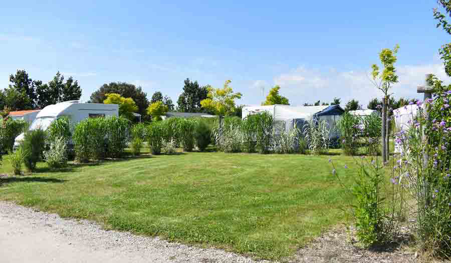 Le Petit Paris Países del Loira - Château-d'Olonne visuel 8/25 Le Petit Paris Países del Loira - Château-d'Olonne visuel 8/25