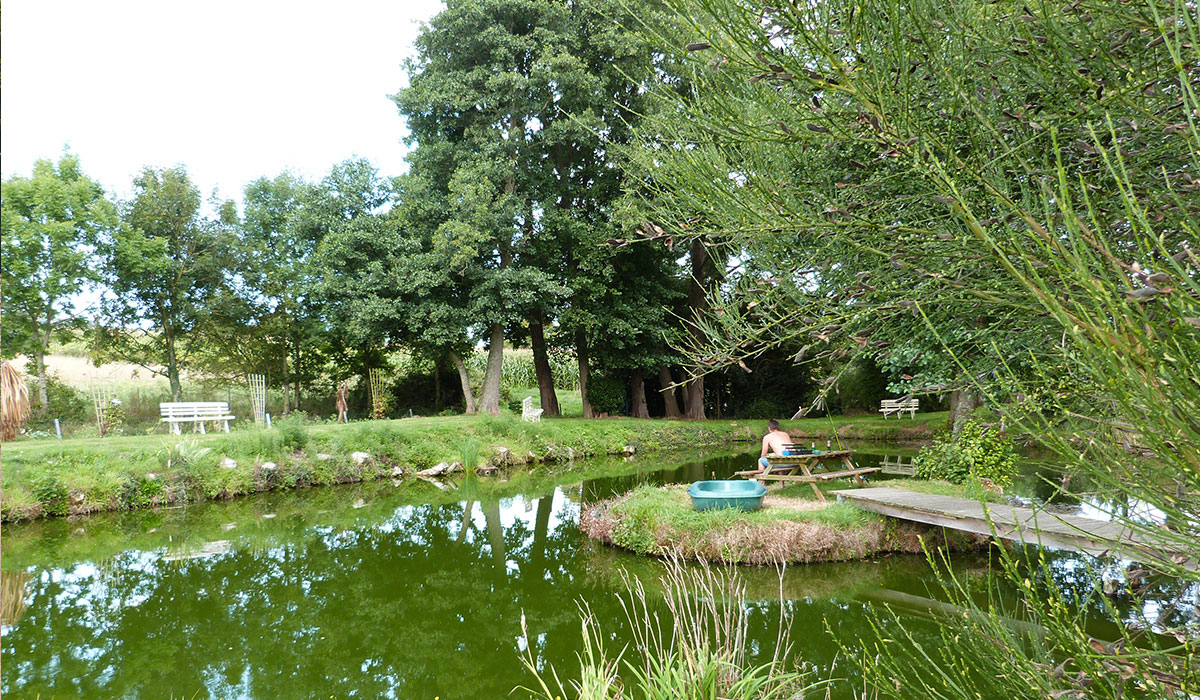 Le Picard Baja Normandía - Tournières visuel 7/11