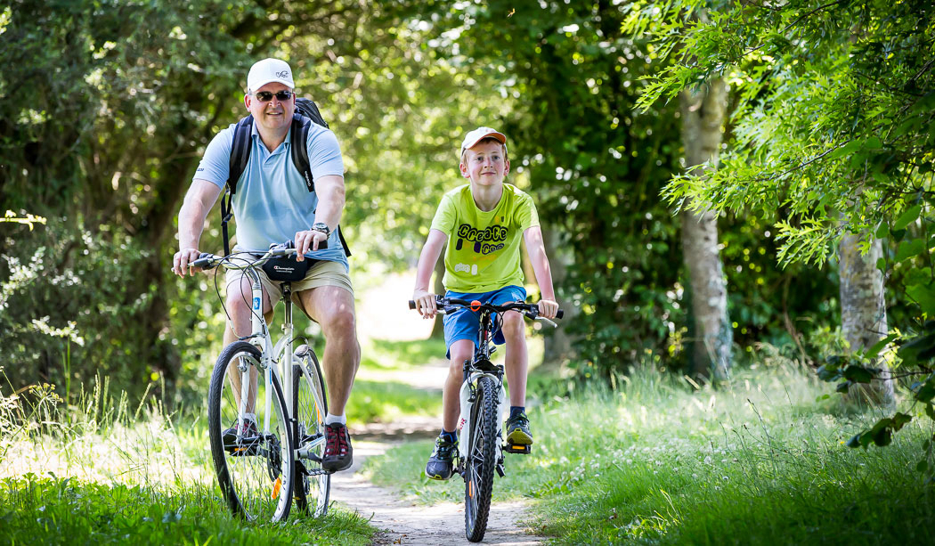 Le Pin Parasol Países del Loira - La Chapelle Hermier visuel 32/33 Le Pin Parasol Países del Loira - La Chapelle Hermier visuel 32/33