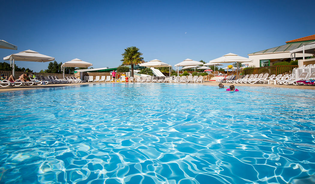 Le Pin Parasol Países del Loira - La Chapelle Hermier visuel 2/33 Le Pin Parasol Países del Loira - La Chapelle Hermier visuel 2/33