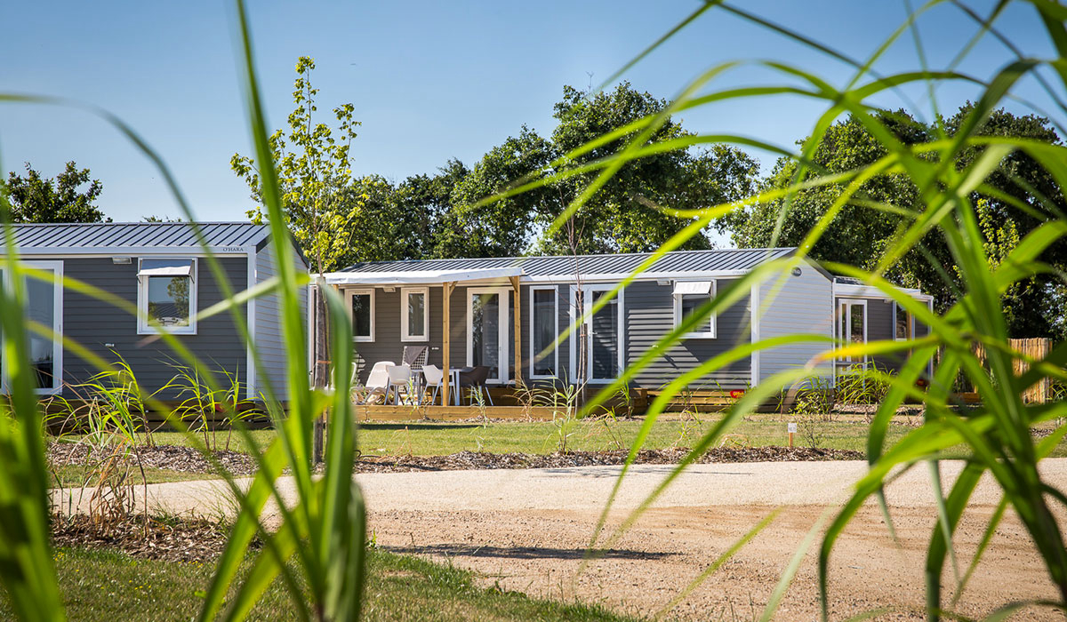Le Pin Parasol Países del Loira - La Chapelle Hermier visuel 31/33 Le Pin Parasol Países del Loira - La Chapelle Hermier visuel 31/33