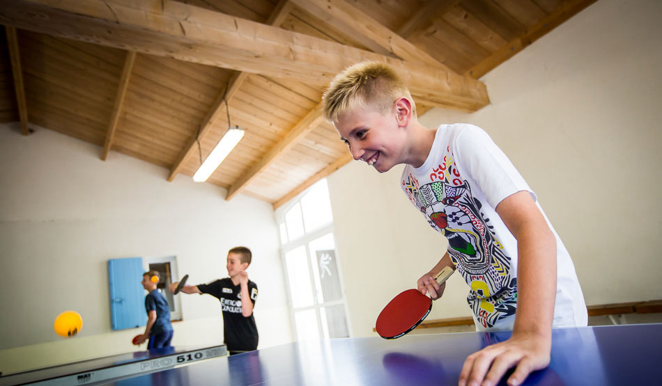 Le Pin Parasol Países del Loira - La Chapelle Hermier visuel 16/33 Le Pin Parasol Países del Loira - La Chapelle Hermier visuel 16/33