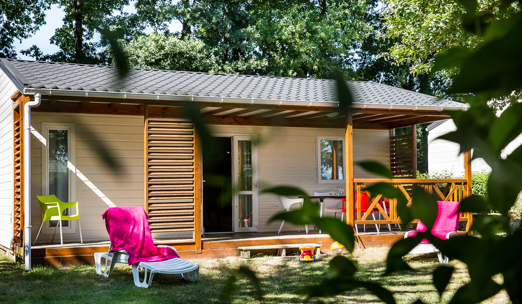 Le Pin Parasol Países del Loira - La Chapelle Hermier visuel 19/33 Le Pin Parasol Países del Loira - La Chapelle Hermier visuel 19/33