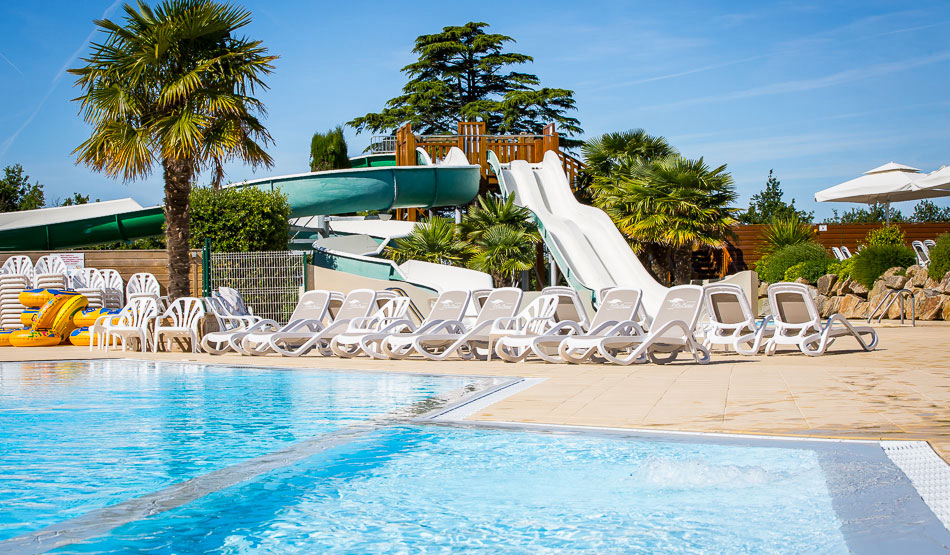 Le Pin Parasol Países del Loira - La Chapelle Hermier visuel 3/33 Le Pin Parasol Países del Loira - La Chapelle Hermier visuel 3/33
