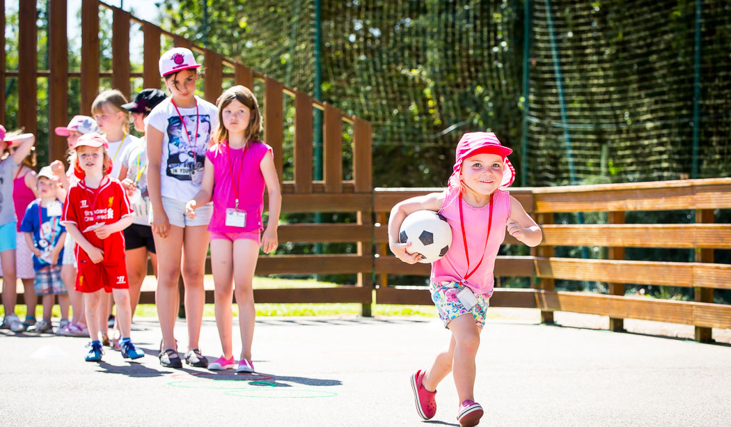 Le Pin Parasol Países del Loira - La Chapelle Hermier visuel 25/33 Le Pin Parasol Países del Loira - La Chapelle Hermier visuel 25/33