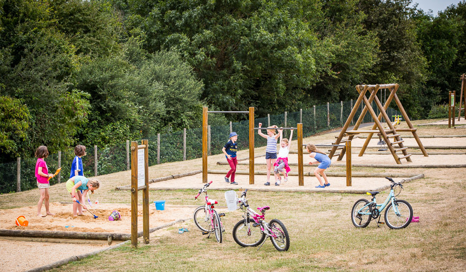 Le Pin Parasol Países del Loira - La Chapelle Hermier visuel 17/33 Le Pin Parasol Países del Loira - La Chapelle Hermier visuel 17/33