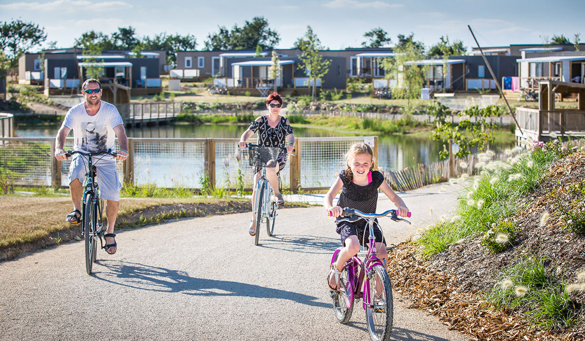 Le Pin Parasol Países del Loira - La Chapelle Hermier visuel 9/33 Le Pin Parasol Países del Loira - La Chapelle Hermier visuel 9/33