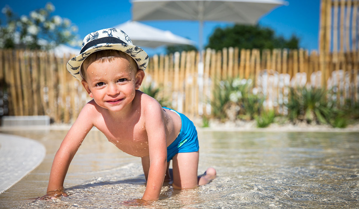 Le Pin Parasol Países del Loira - La Chapelle Hermier visuel 12/33 Le Pin Parasol Países del Loira - La Chapelle Hermier visuel 12/33